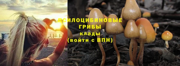 герыч Богородицк