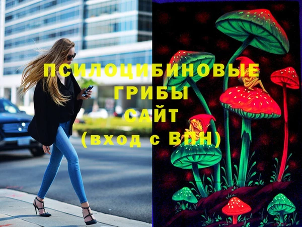 дмт Богородск